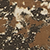 First Lite Specter Camo