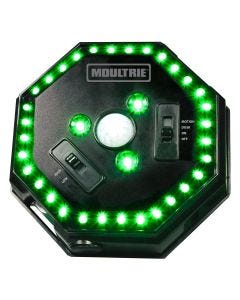 Moultrie Feeder Hog Light with green LEDs illuminated