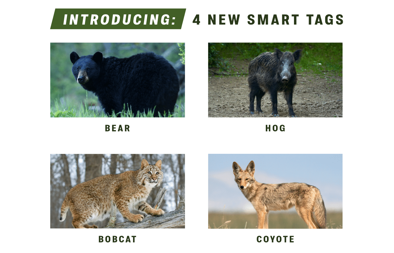 4 New Smart Tags: Bear, Hog, Bobcat, Coyote