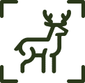 Smart-AI Tagging Icon