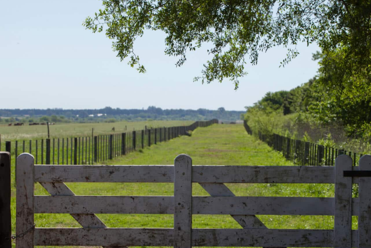 Monitoring fenced rural property with Moultrie trail cameras for security